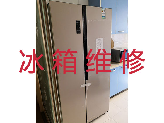 宁波专业电冰箱安装